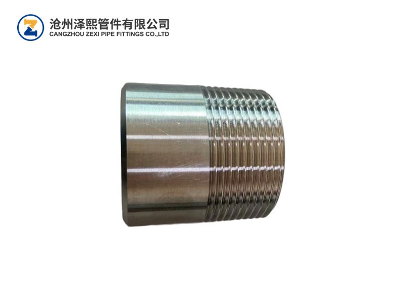 NPT Stainless Steel Nipple factory